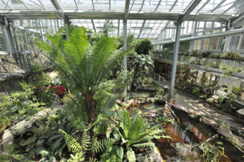 Új trópusi üvegház a szegedi füvészkertben