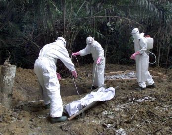 Erdőitás és ebola