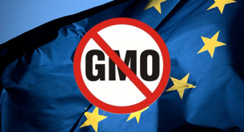 Magyarorszg a GMO mentes mozgalom ln