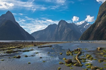 Tragédia küszöbén Új-Zéland édesvízi állatvilága