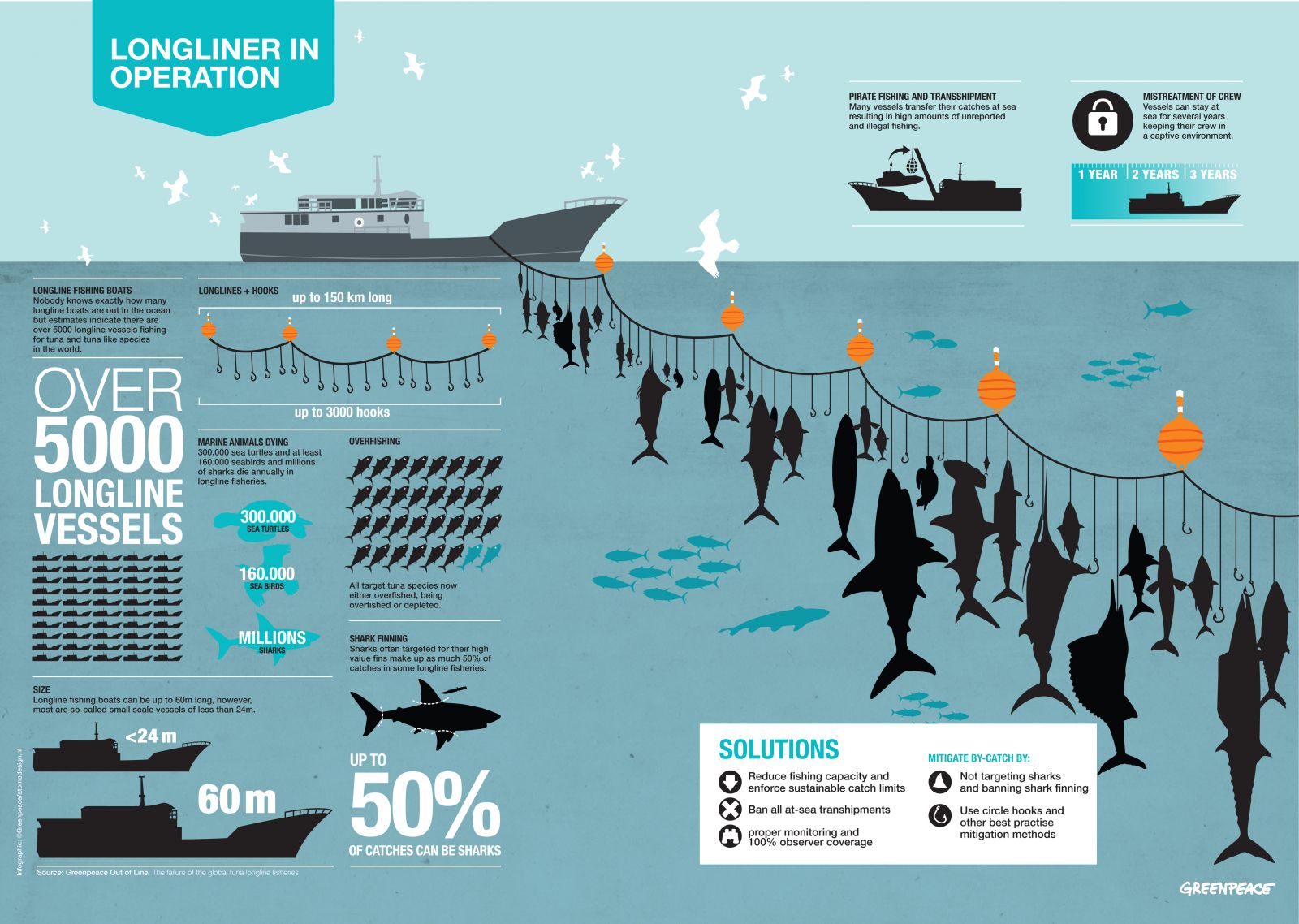Horogsoros halászat Greenpeace