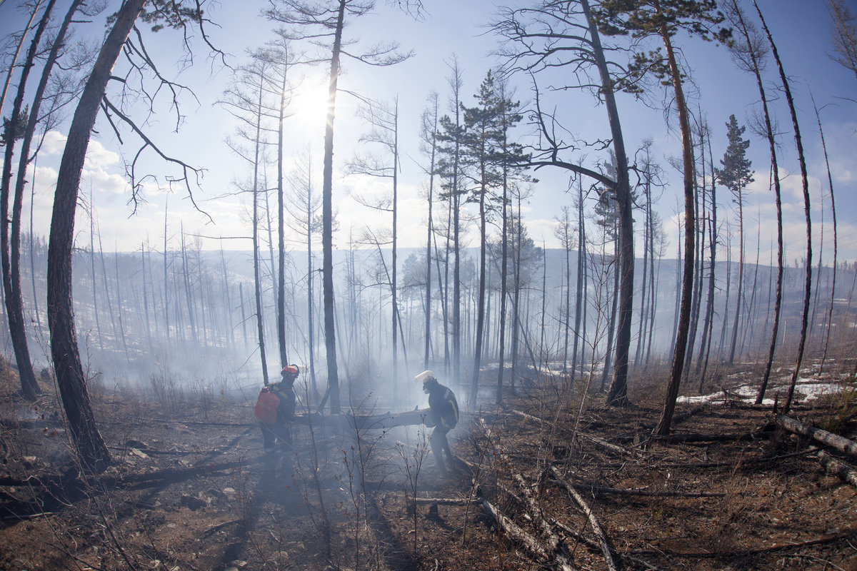 erdőtűz a Zabaikalsky régióban Szibériában
