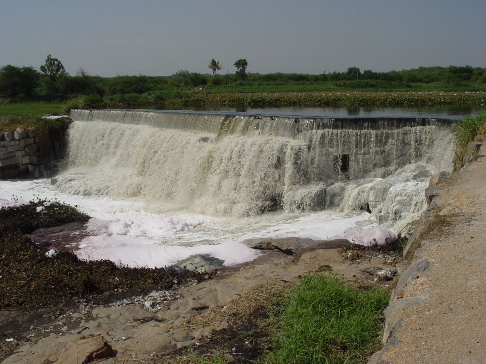 gyógyszergyári vízszennyezés az india Musi folyón