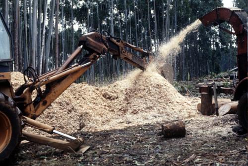 biomassza - faapríték