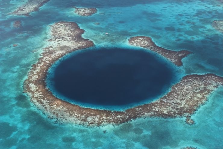korallzázony Belize  © naturepl.com Brandan Cole WWF