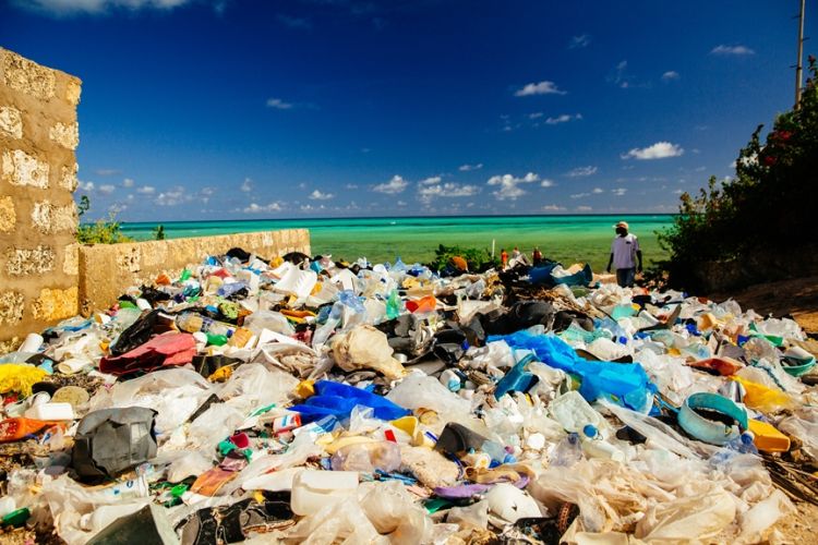 műanyag hulladék tengerpart kép: Greg Armfield WWF